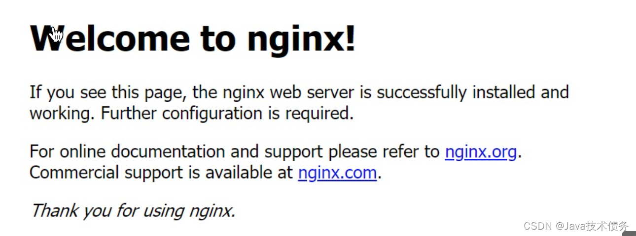 Docker 安装 Nginx（三） - Java技术债务